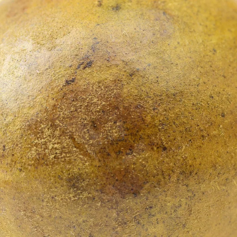 Monk fruit, close up